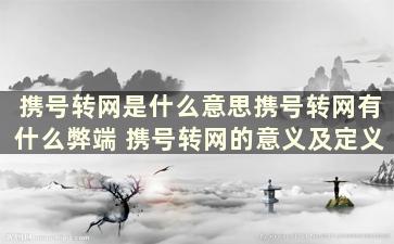 携号转网是什么意思携号转网有什么弊端 携号转网的意义及定义